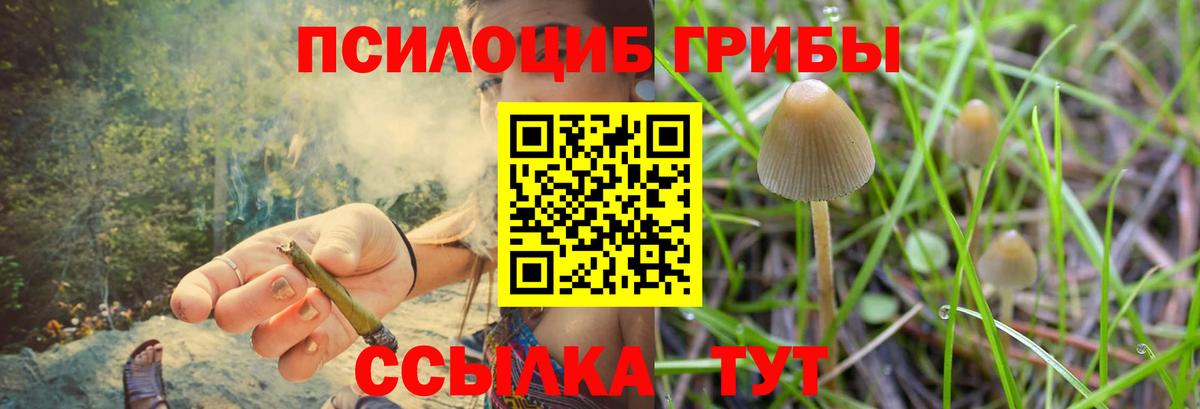 Псилоцибиновые грибы прущие грибы  Вход с VPN  Кизляр 